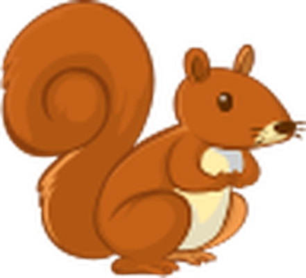 Eichhörnchen