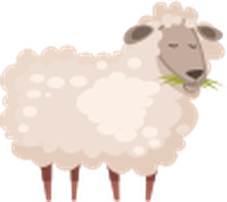 Frau Schaf